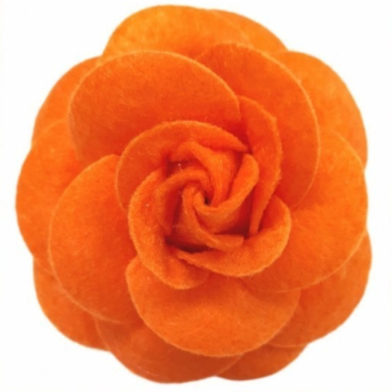 Cvijet ukrasni narančaste boje