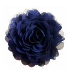 Cvijet ukrasni modre boje