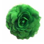 Cvijet ukrasni intenzivno zelene boje
